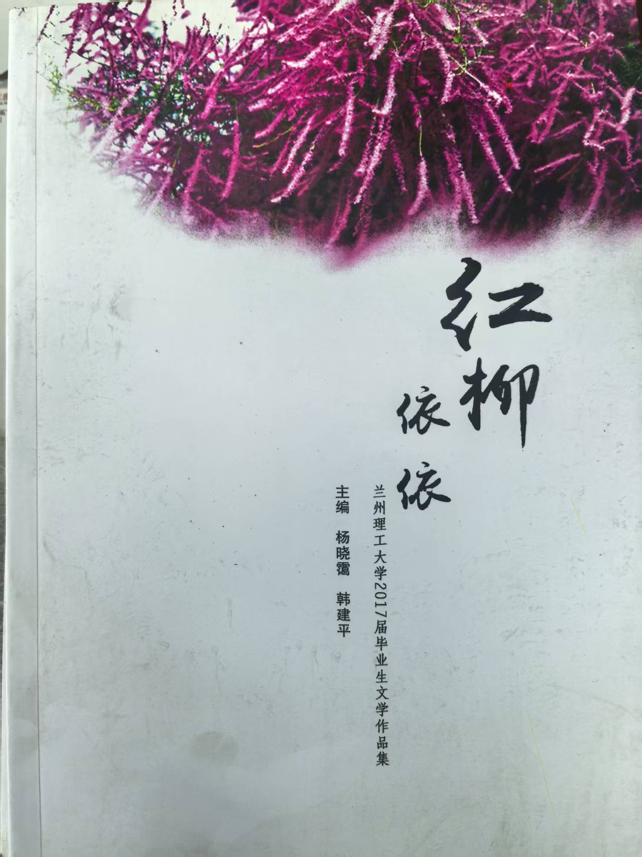 taptap点点官方网站2017届毕业生文学作品集